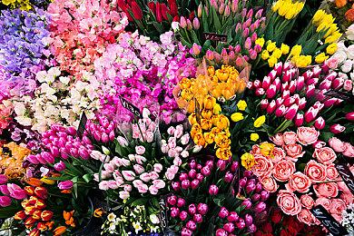 《黑神话：悟空》全新视频发布 明天将公布新内容