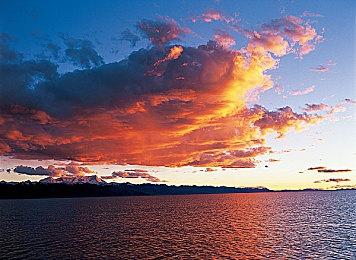 世嘉手游《错误游戏 Re:set》新剧情介绍影片公开